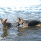 corner-lake-21