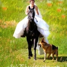 dog-of-the-bride-400x600