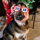 josie_0