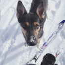 maya_pooploop_122619_2bis