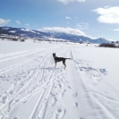 maya_pooploop_122619_5bis