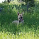 sammy-at-meetup-south-mesa-trail-june-15-2014