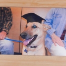 sammy-graduation