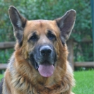 caesar-2003-2013